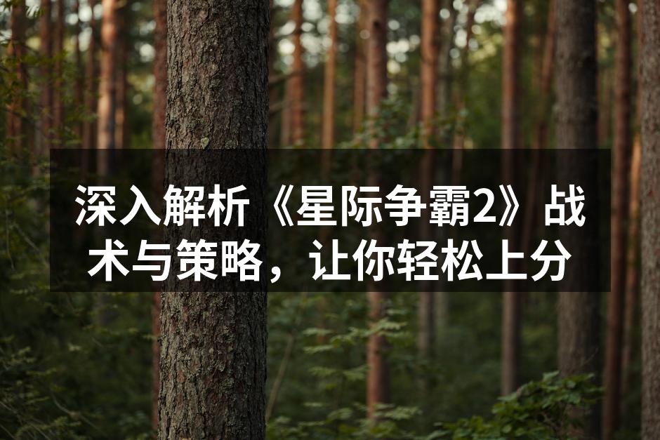 《星际争霸2》战术分析图